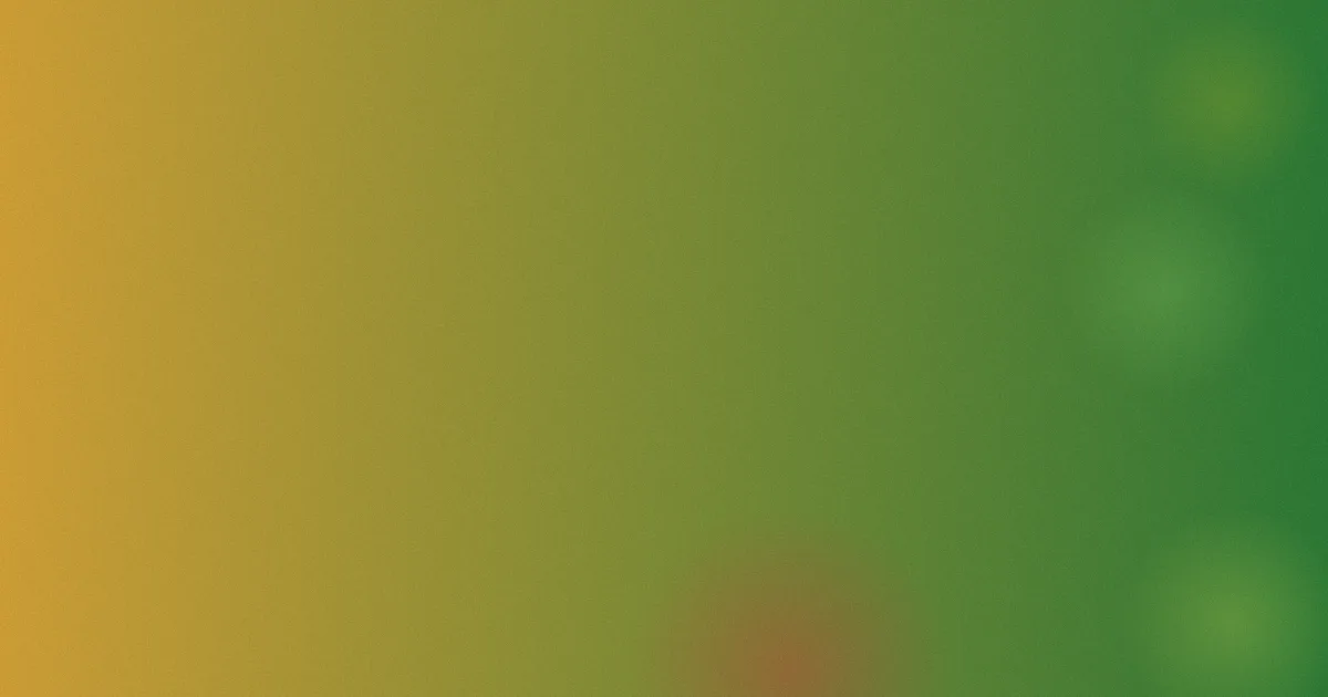 少林小子测评：老片还值不值看